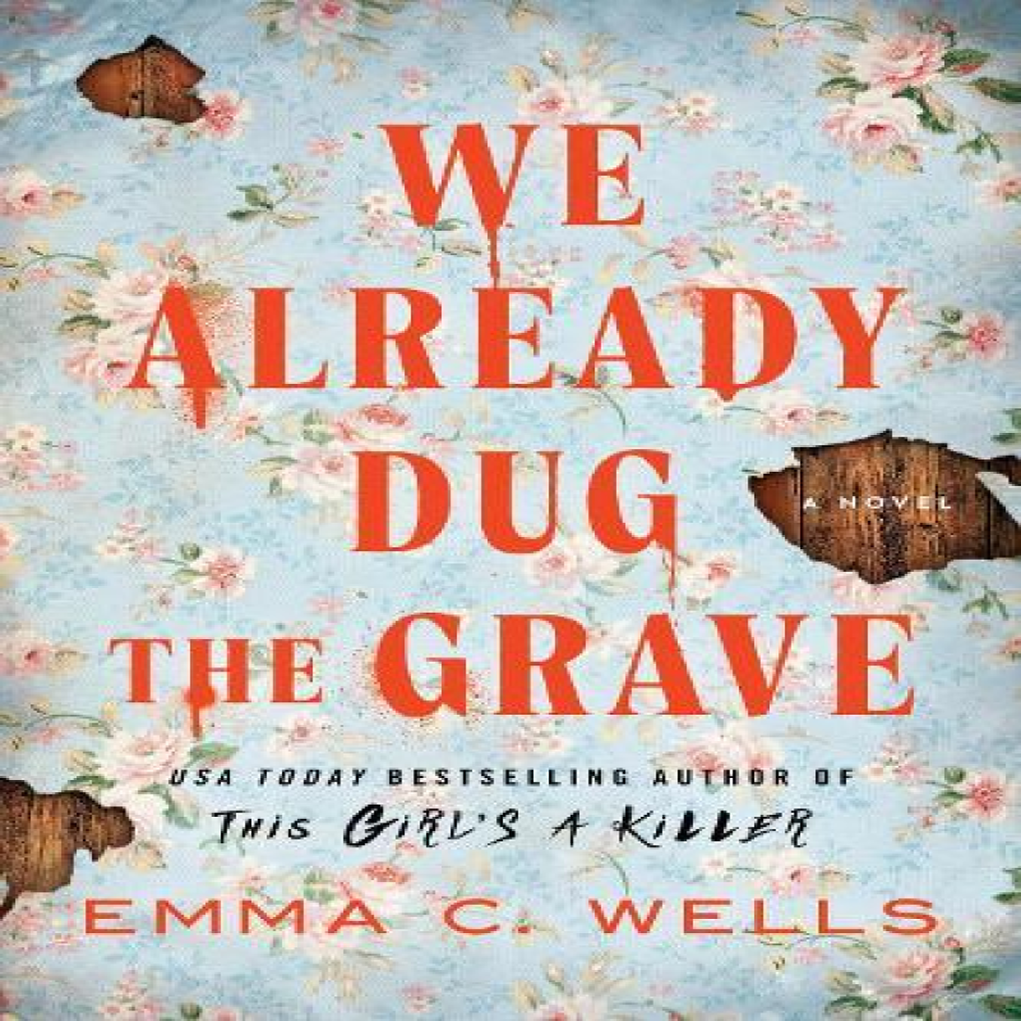 LIVRES We Already Dug the Grave : A Southern Gothic Thriller from the Author of This Girl's a Killer