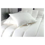 Voir la diapositive 3 : DODO Lot de 2 Oreillers confort Moelleux  toucher douceur BEAUX JOURS
