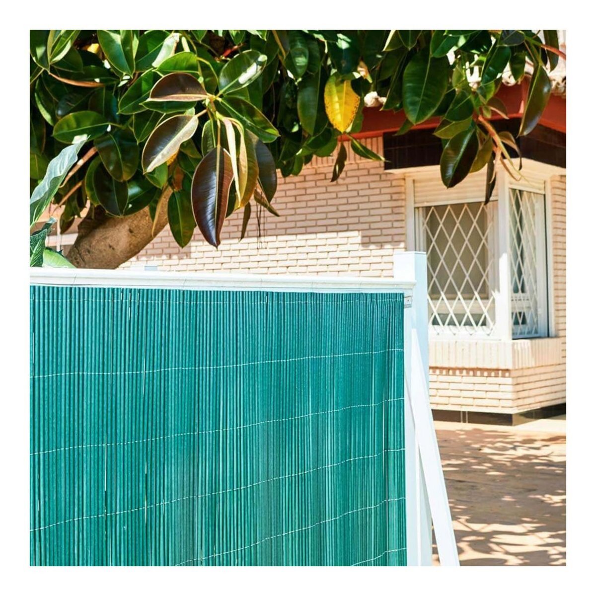 Catral Canisse LOP 1,5x3m aspect naturel