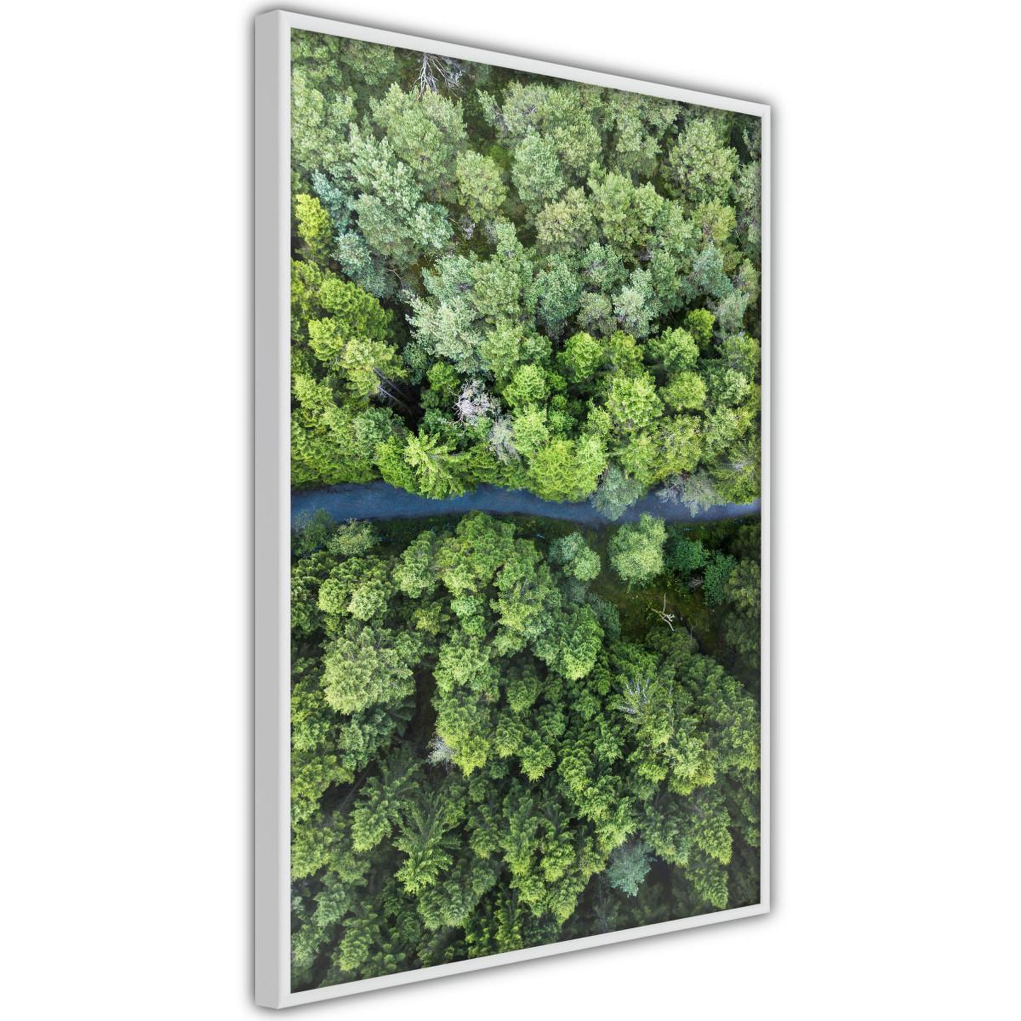 Paris Prix Affiche murale encadrée  forest from a bird's eye view