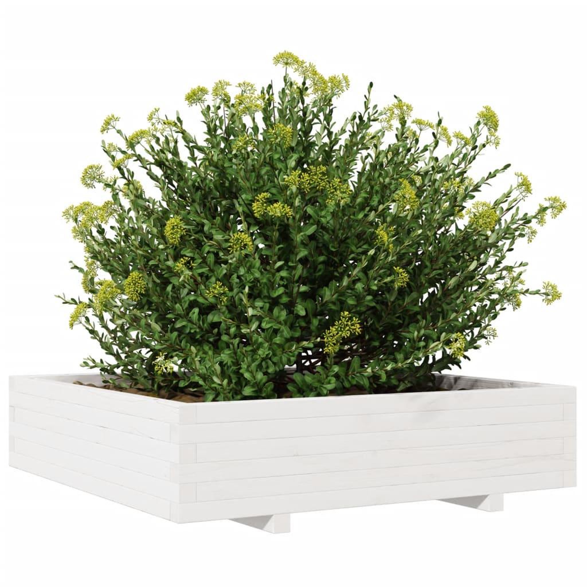 Voir la diapositive 4 : VIDAXL Jardiniere blanc 100x100x26,5 cm bois de pin massif