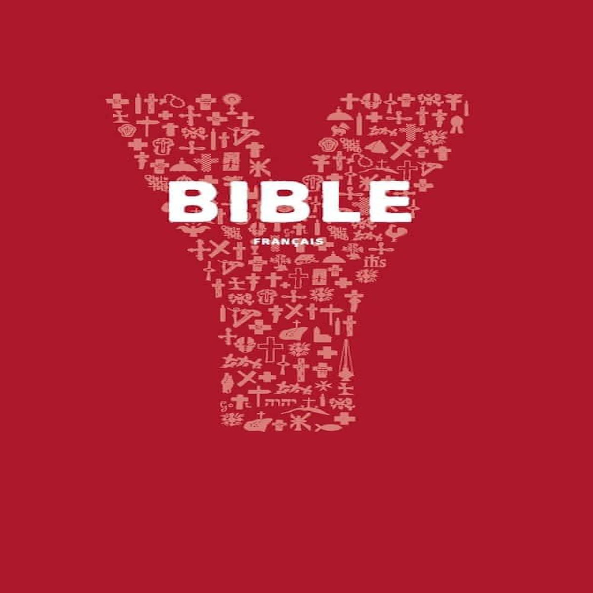 YOUCAT BIBLE. LA BIBLE DE L'EGLISE CATHOLIQUE POUR LES JEUNES, AELF