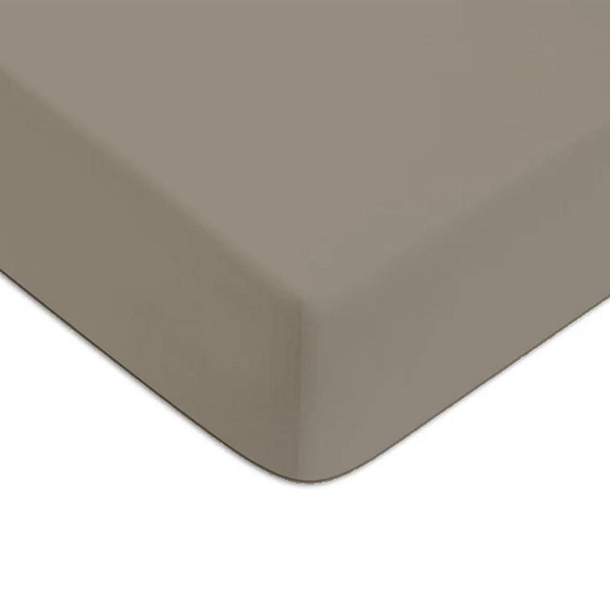 FUTURE HOME Drap housse en coton 57 fils uni bonnet 25cm