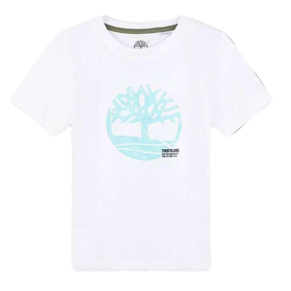 TIMBERLAND T Shirt /Turquoise Garçon Timberland T60087