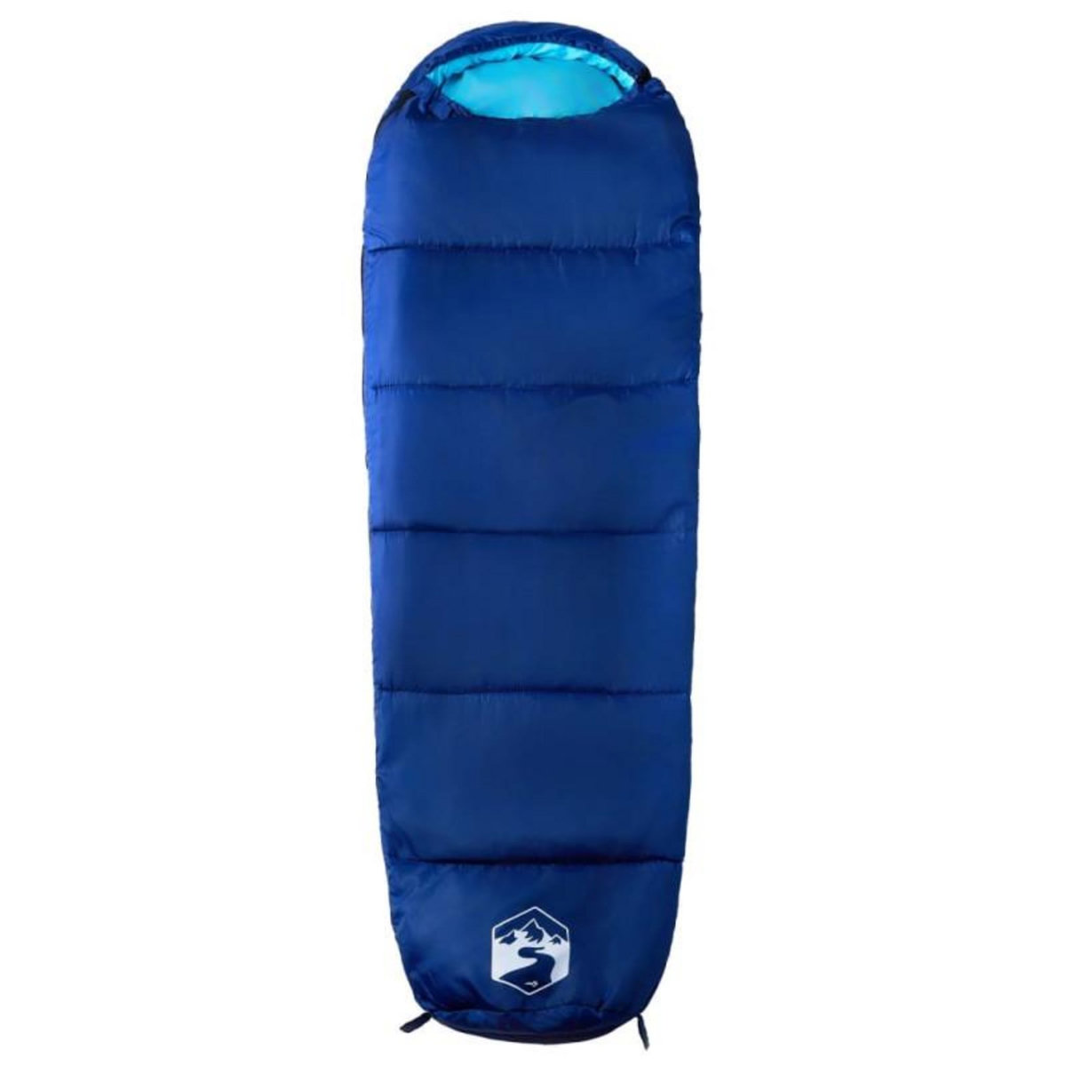 VIDAXL Sac de couchage momie pour adultes camping 3 saisons