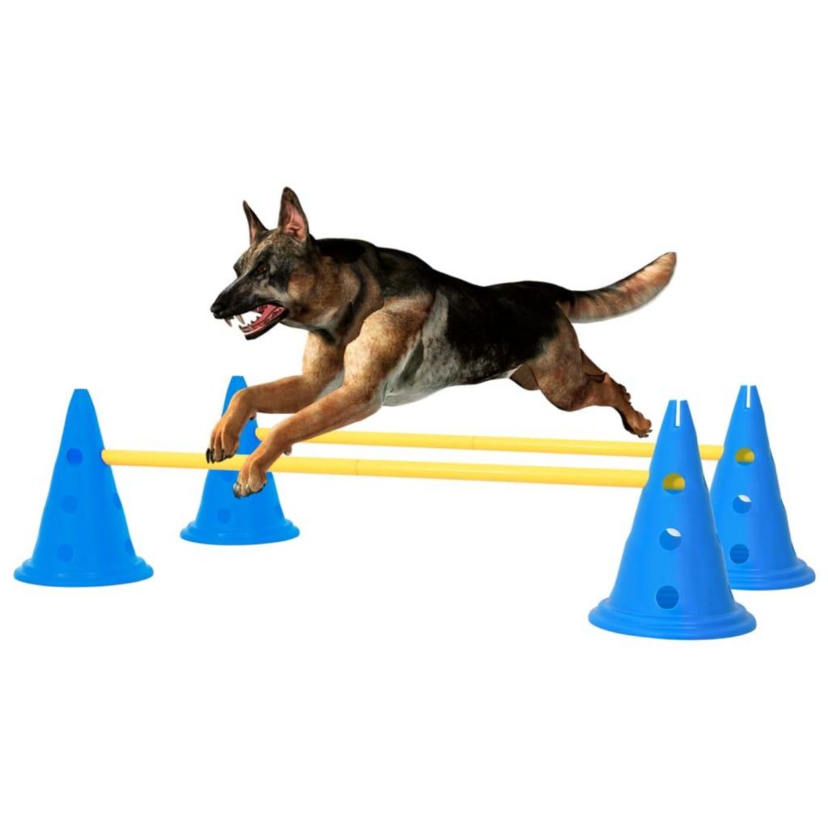 VIDAXL Ensemble d'obstacles d'activite pour chien Bleu et jaune