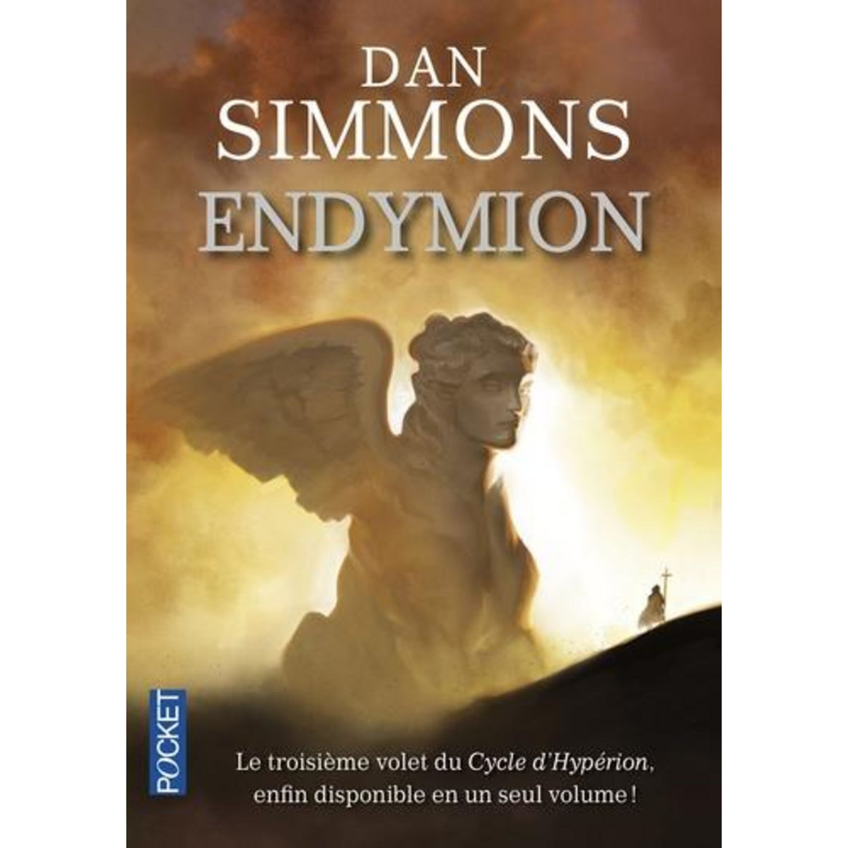 LES VOYAGES D'ENDYMION : ENDYMION TOME 1 ET 2, Simmons Dan