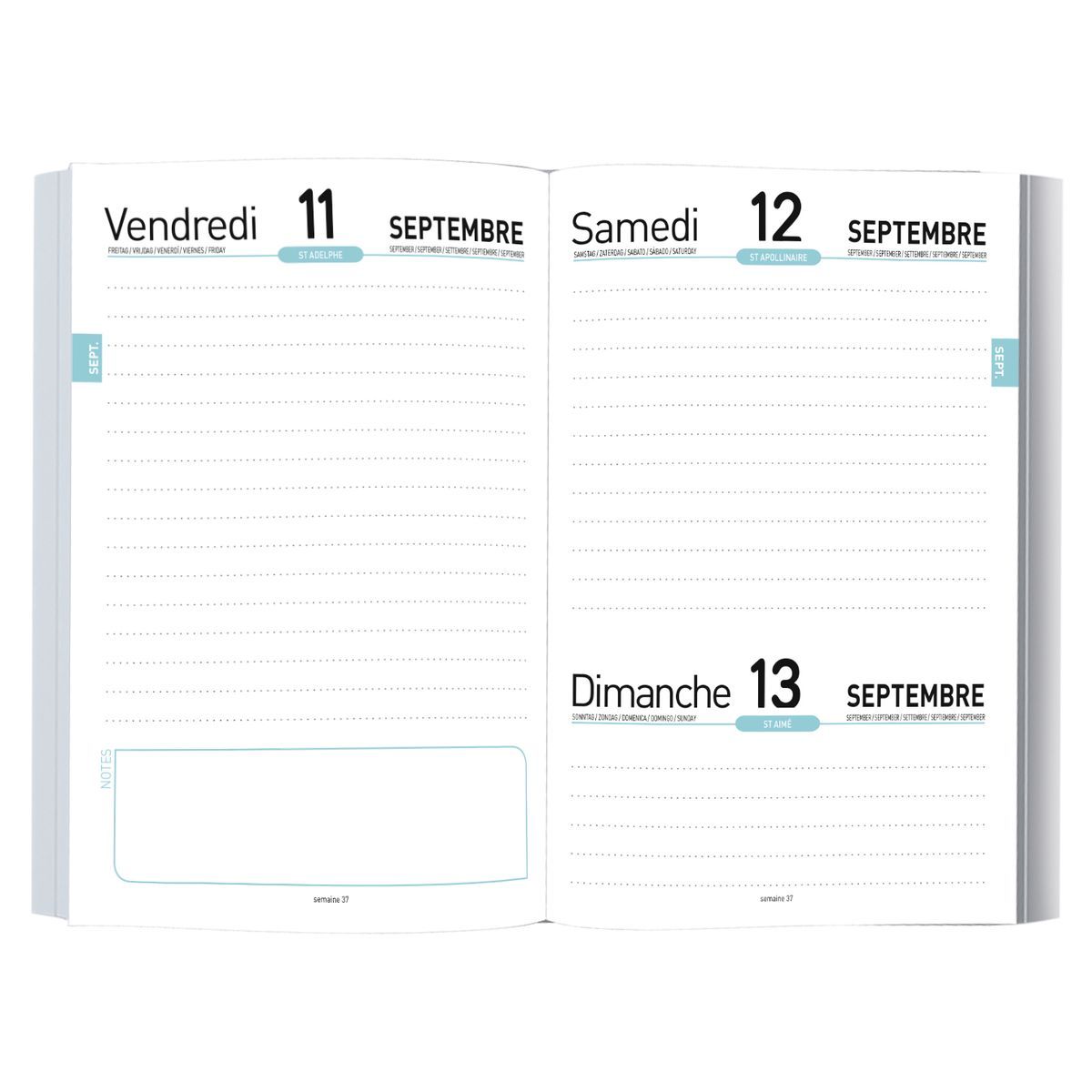 little marcel Agenda scolaire journalier 12x17cm Marinière bleu 2022-2023