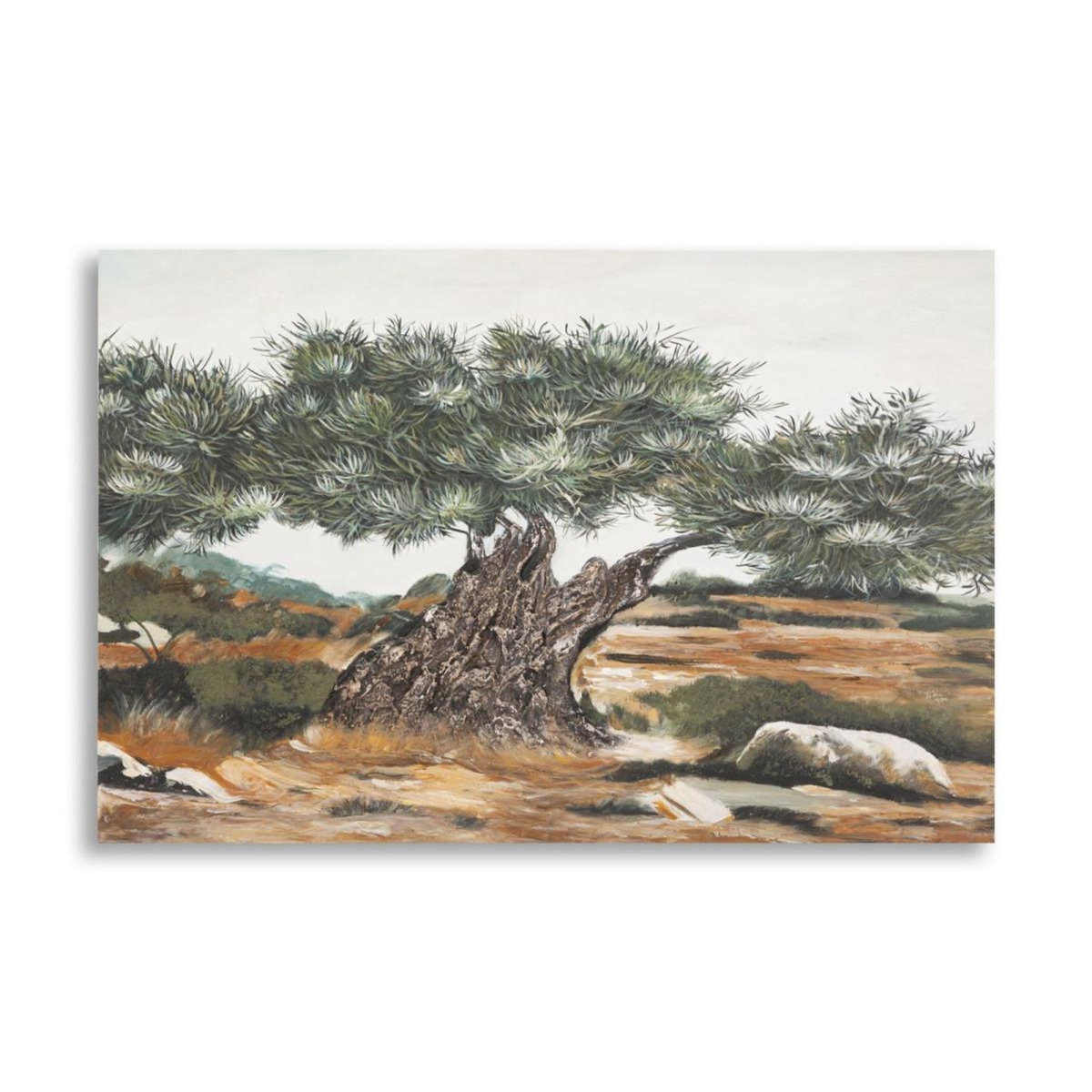 Paris Prix Toile Murale Déco  Olivier I  80x120cm Multicolore