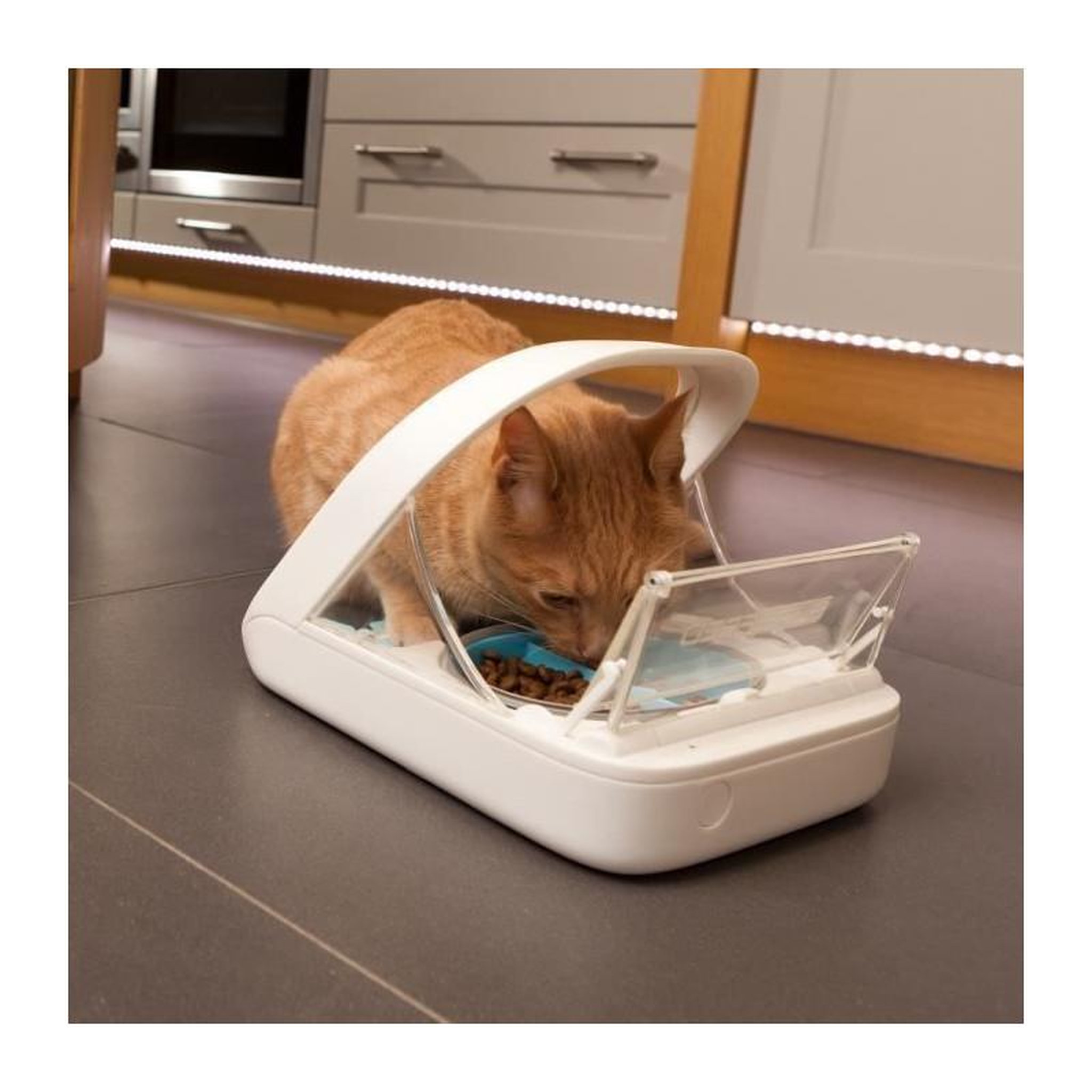 Voir la diapositive 2 : GENERIQUE SUREFEED Distributeur de nourriture a puce electronique blanc pour chat et chien - pour croquettes ou alimentation humide