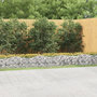 Voir la diapositive 1 : VIDAXL Lit sureleve a gabions arque 600x50x50 cm Fer galvanise