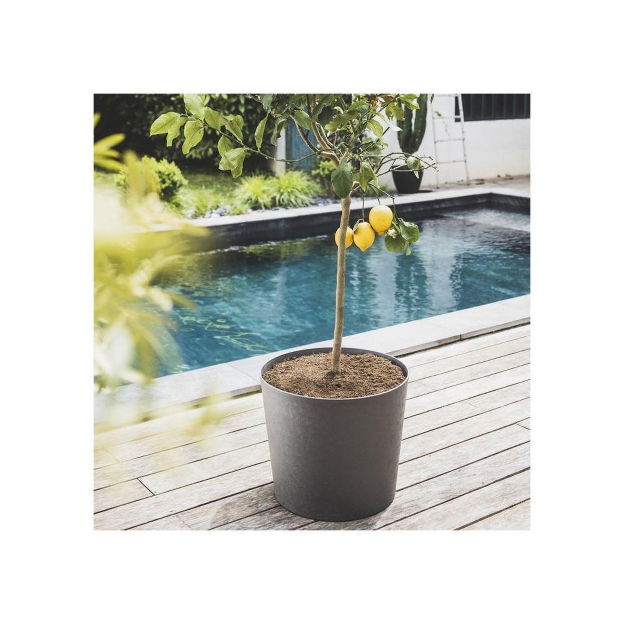 Voir la diapositive 2 : Eda Eda element pot de fleurs conique rond en plastique recyclé, diamètre 50 cm, 62,2 l, finition effet pierre calcaire, gris anthracite
