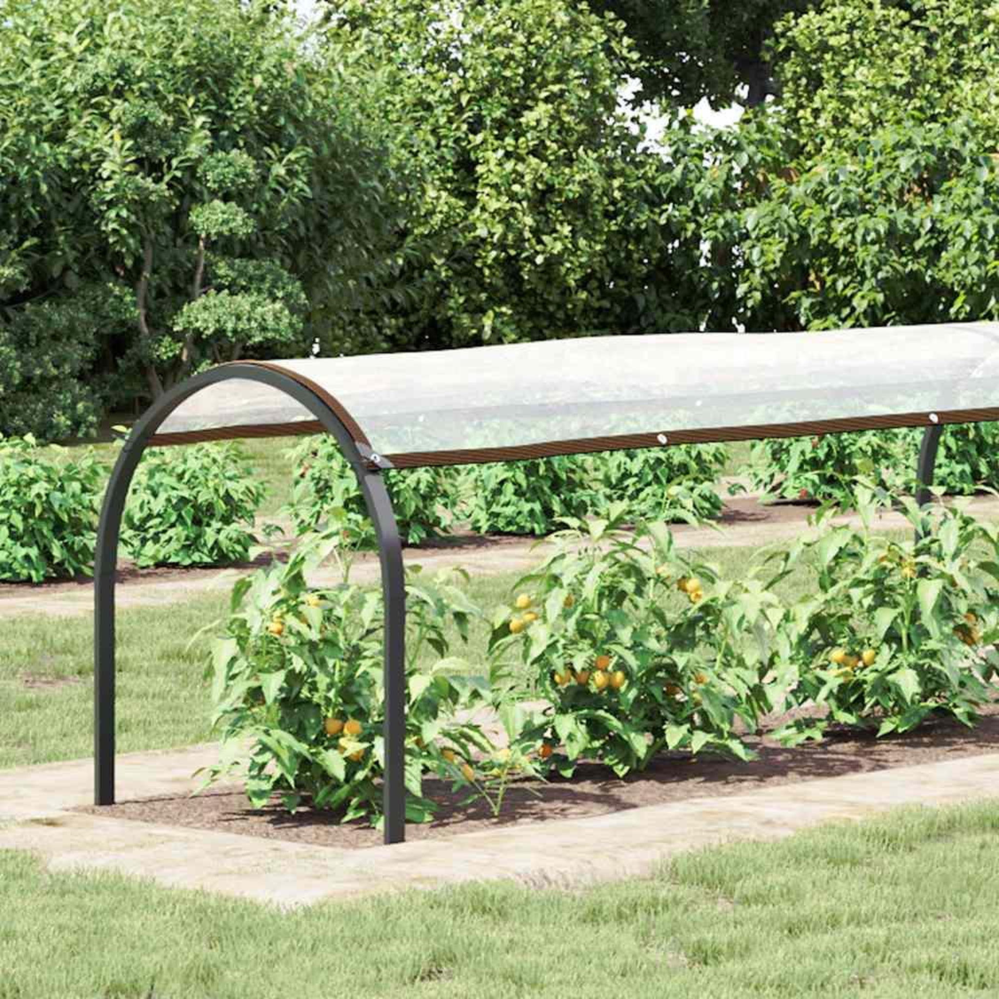 Voir la diapositive 2 : VIDAXL Bache transparente avec œillets 1x10 m polyethylene