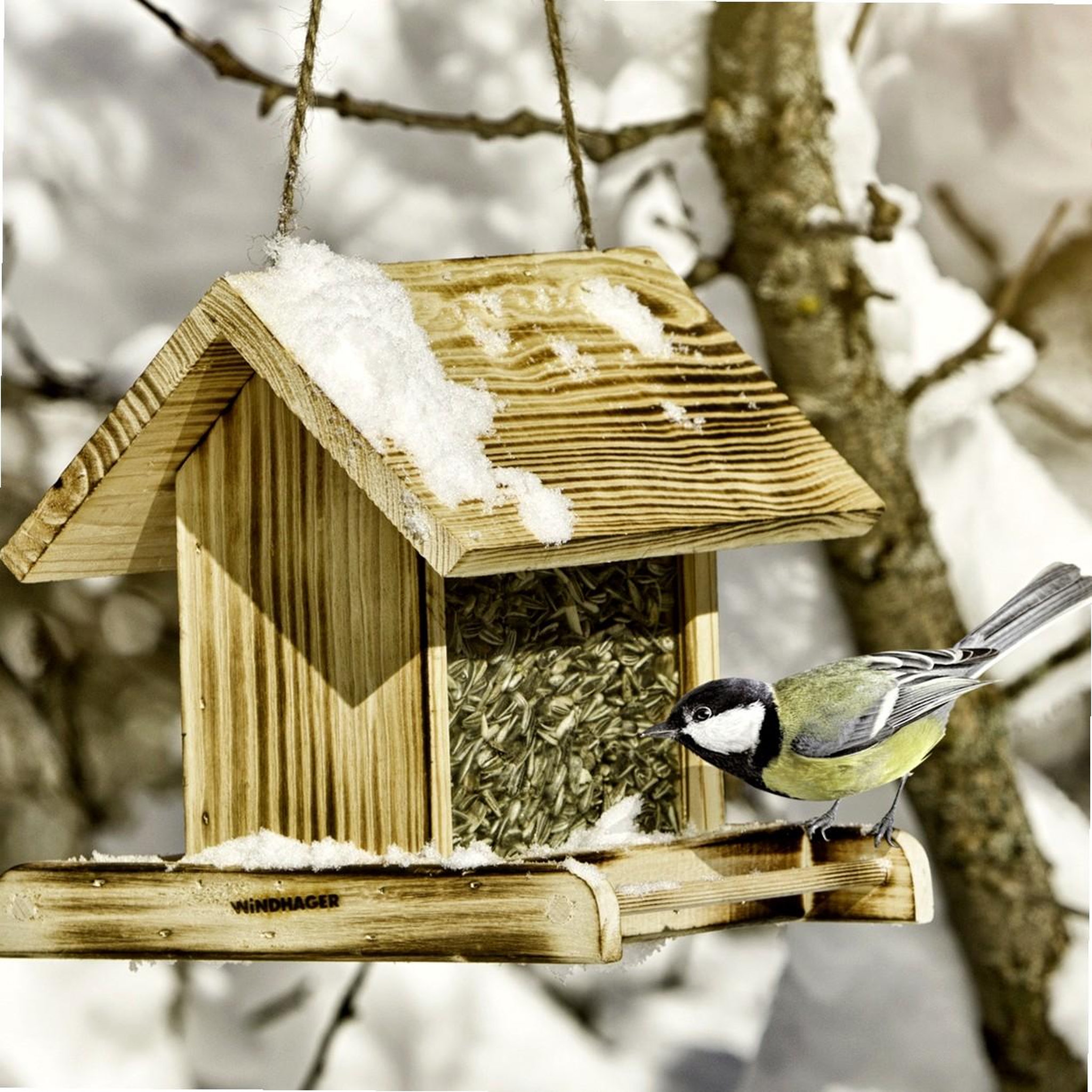 Voir la diapositive 2 : Windhager Mangeoire en bois  22 x 19,5 x 20,5cm