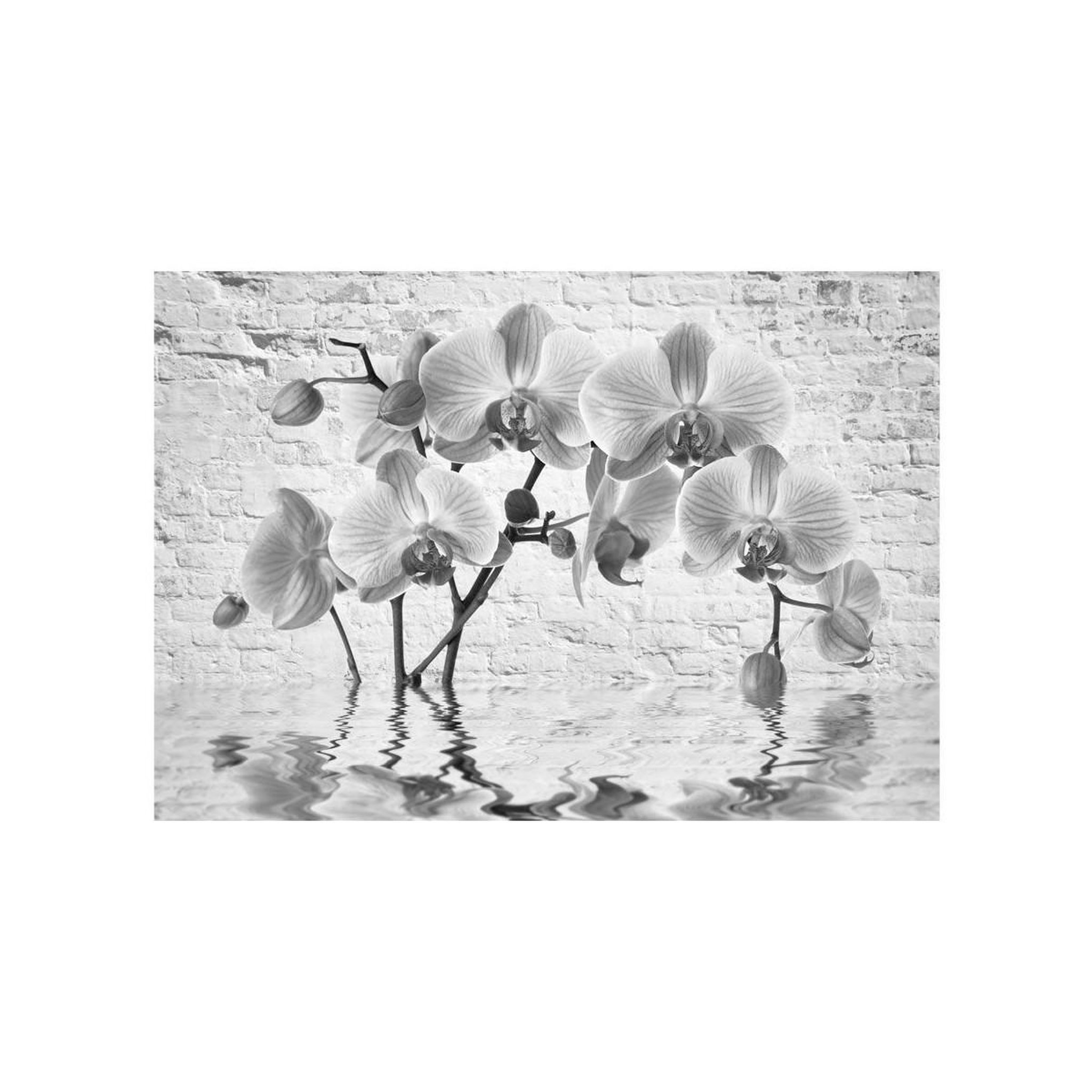 Voir la diapositive 2 : Paris Prix Papier peint  orchid in shades of gray