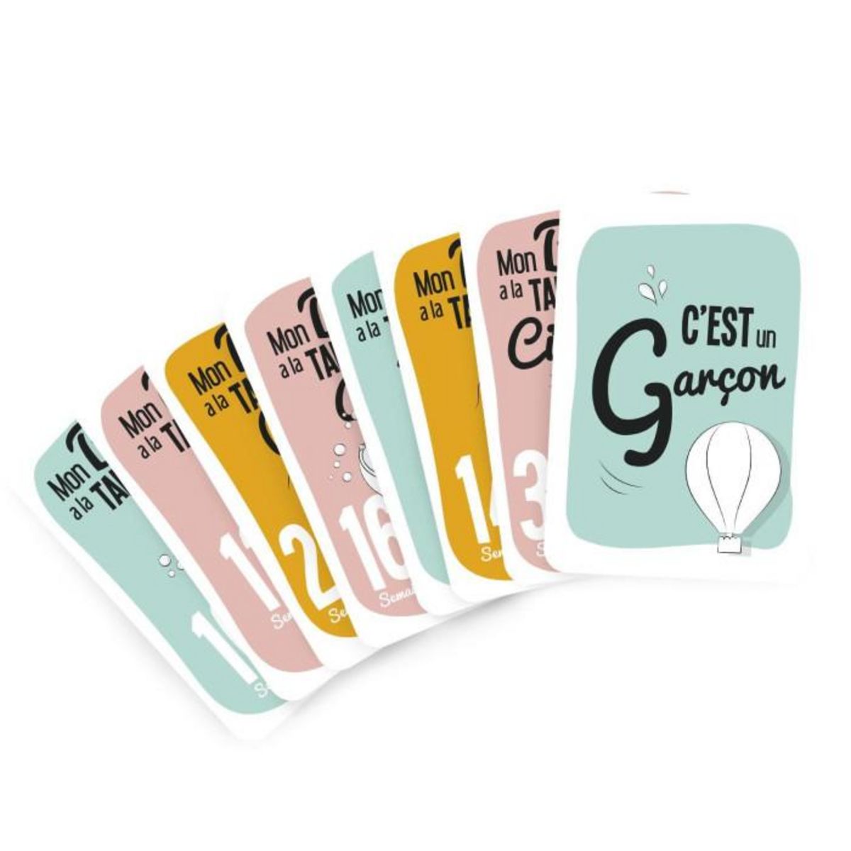 Paris Prix Lot de 20 Cartes  Grossesse  18cm Multicolore