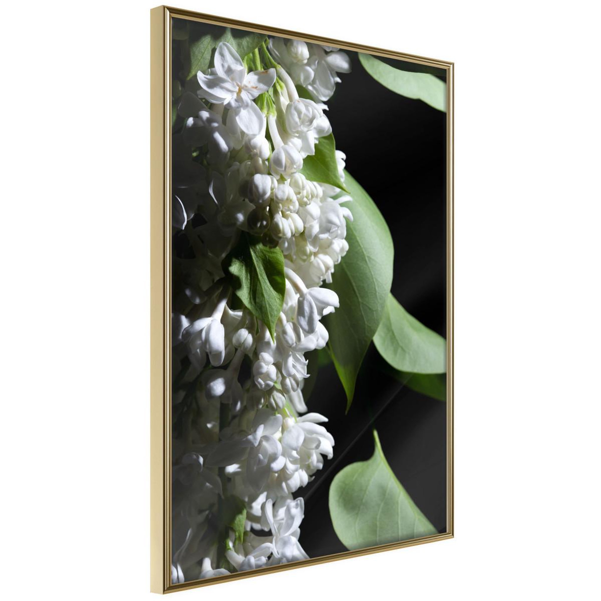 Paris Prix Affiche Murale Encadrée  Fragrant Spring