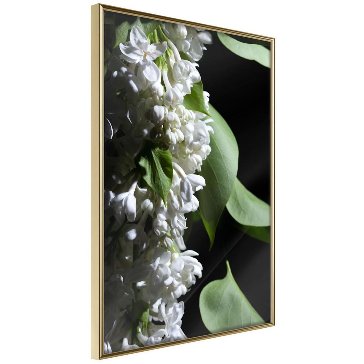 Paris Prix Affiche Murale Encadrée  Fragrant Spring