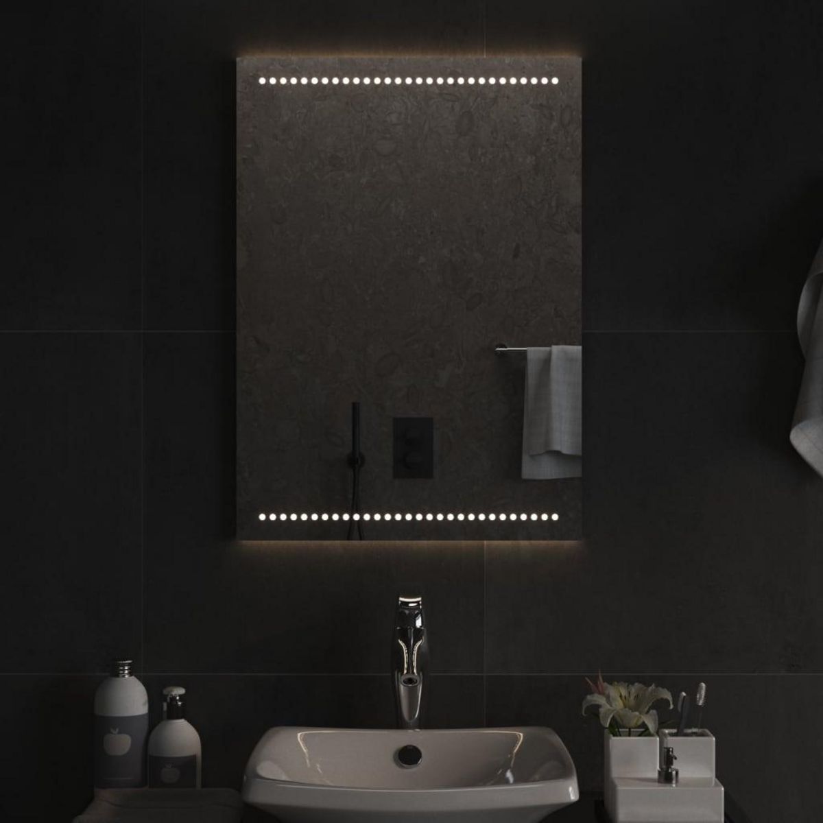 VIDAXL Miroir de salle de bain a LED 50x70 cm