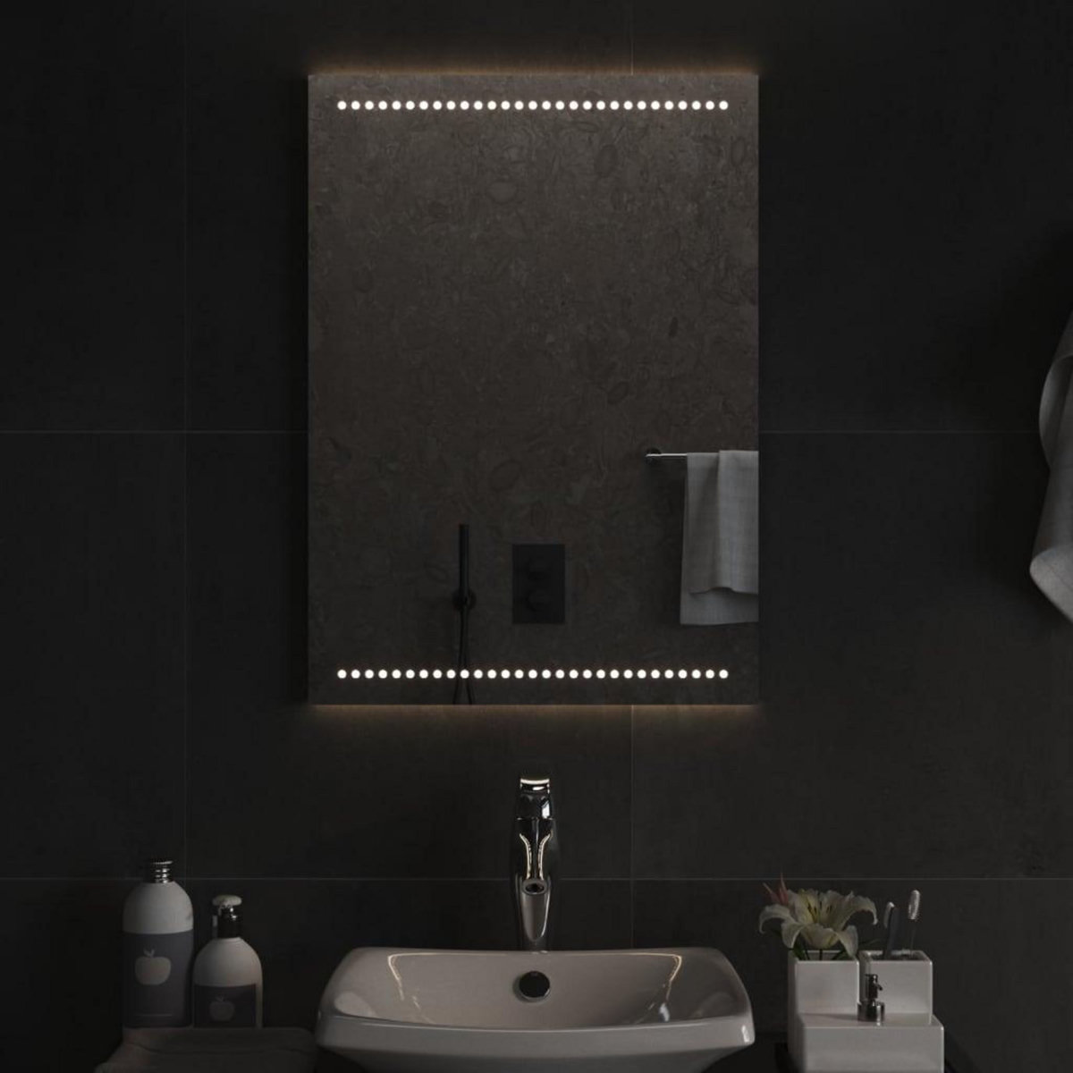 VIDAXL Miroir de salle de bain a LED 50x70 cm
