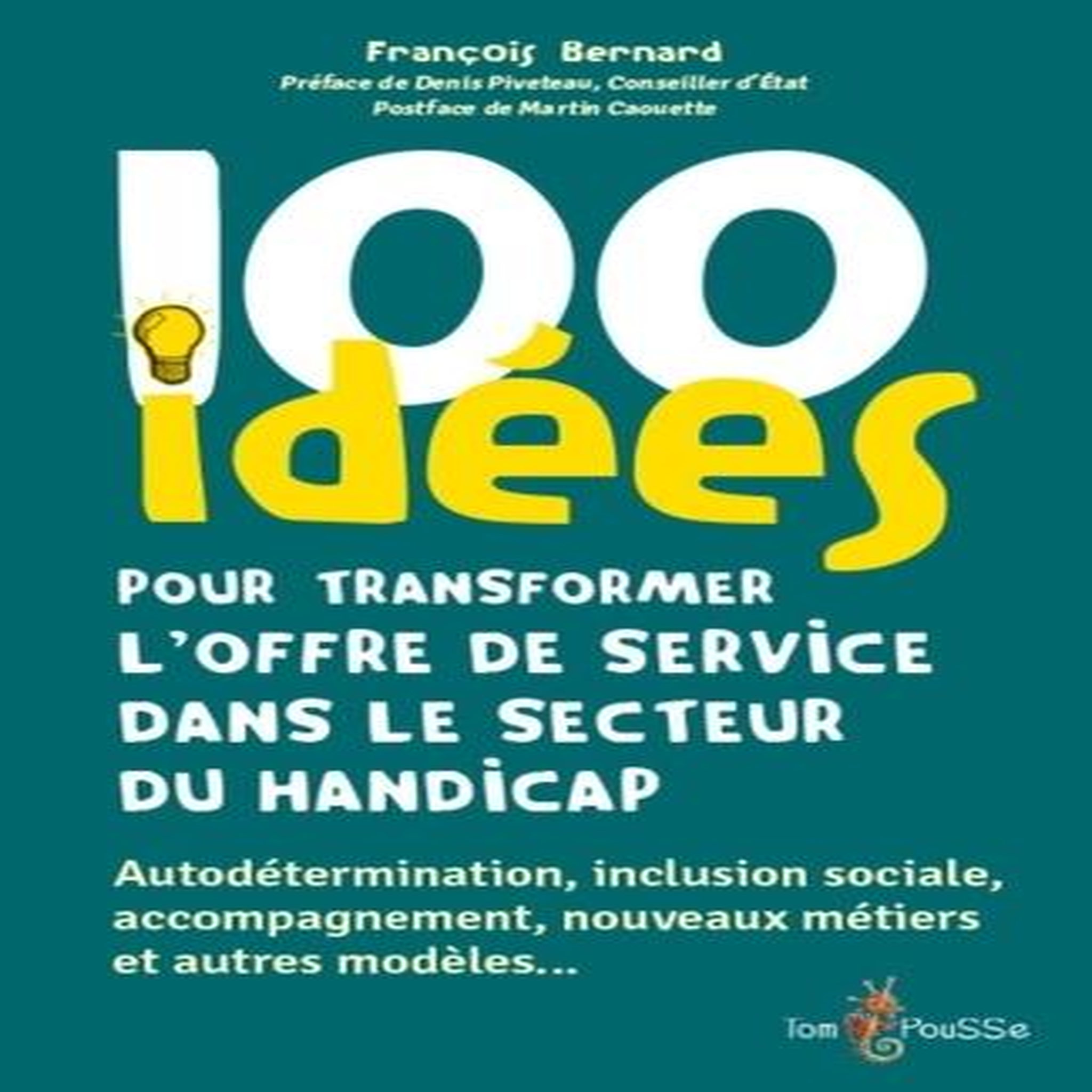 100 IDEES POUR TRANSFORMER L'OFFRE DE SERVICE DANS LE SECTEUR DU HANDICAP, Bernard François