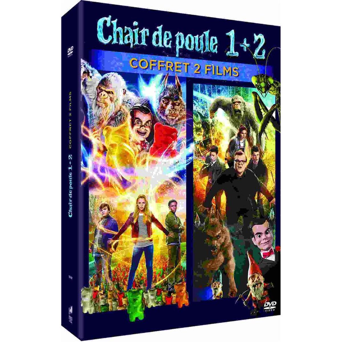 Coffret DVD Chair de Poule L&rsquo;intégrale