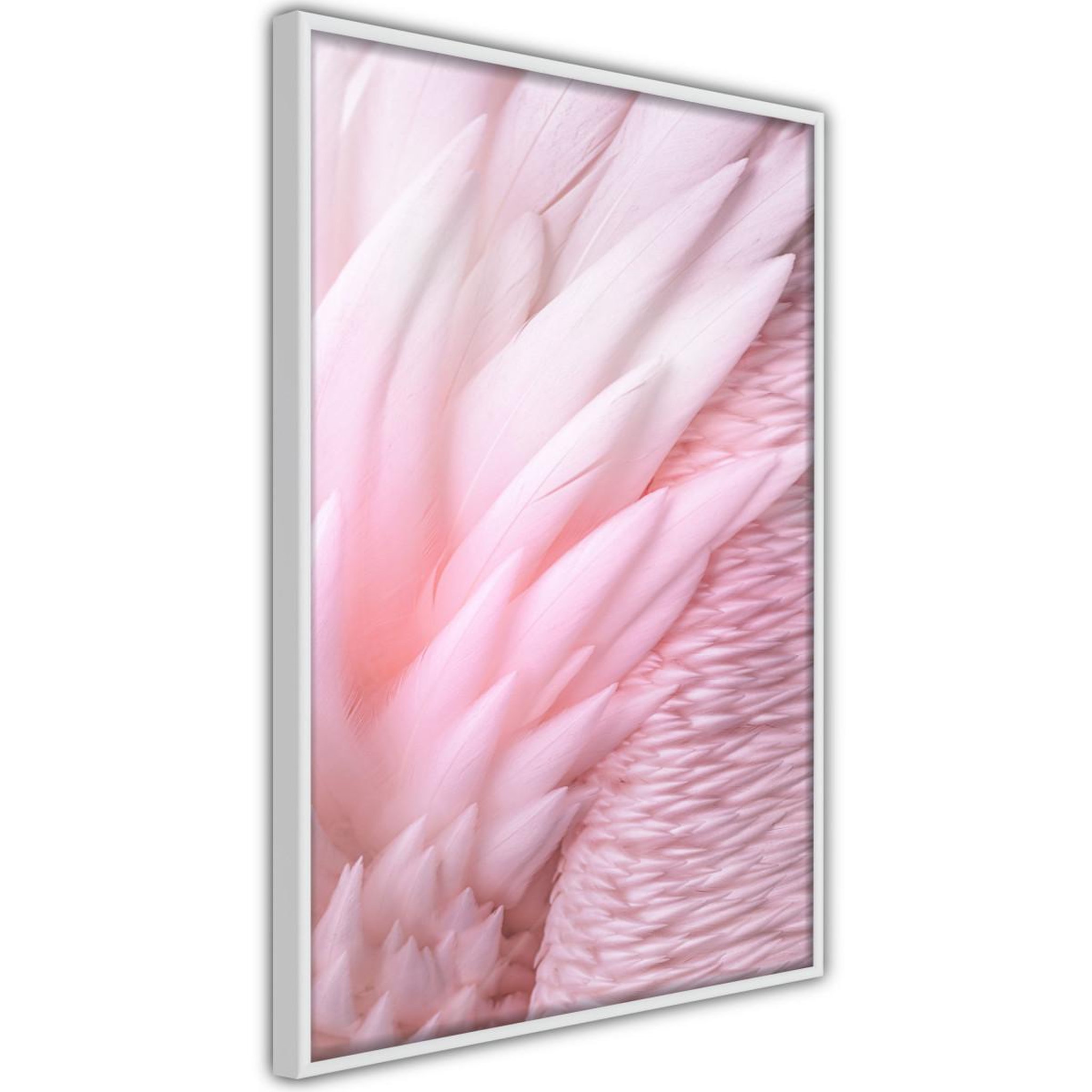 Paris Prix Affiche murale encadrée  pink feathers
