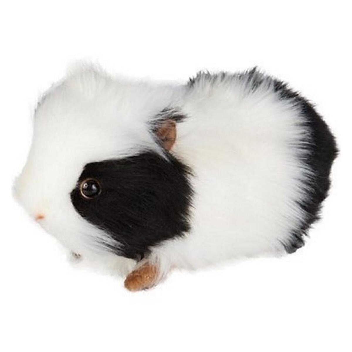 Hansa Cobaye Noir et blanc 20cm