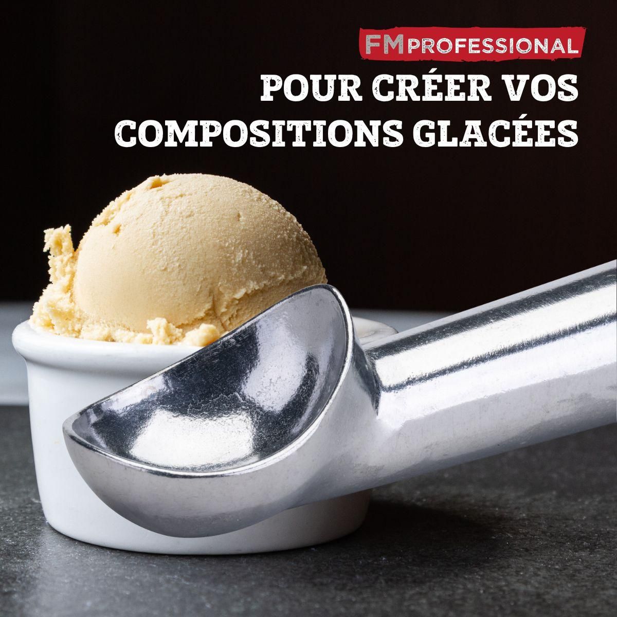 FM PROFESSIONAL Ensemble de 2 Cuillères à glace FM Professional
