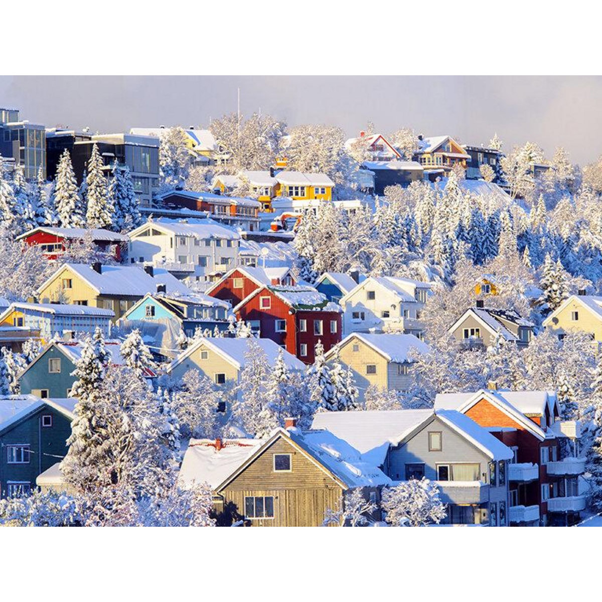 Smartbox Séjour en Norvège : 4 jours avec aurores boréales et balade en chiens de traîneau pour 2 - Coffret Cadeau Séjour