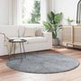 Voir la diapositive 3 : VIDAXL Tapis Shaggy a poils longs NAVARRA gris argente 160x160 cm