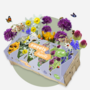 Voir la diapositive 5 : PLANT IN A BOX Bulbes à fleurs pour insectes - Mélange de 50 - Attire abeilles & papillons