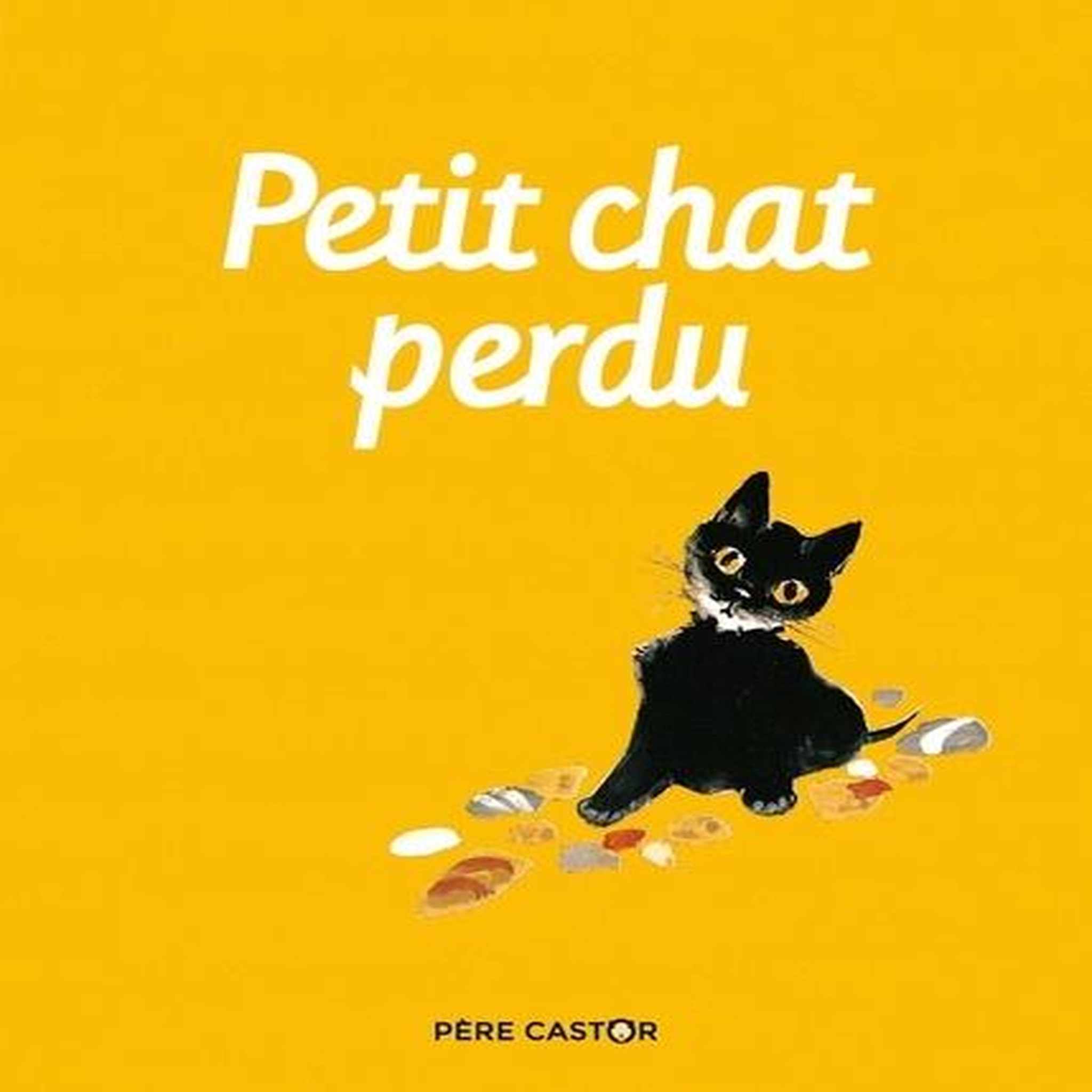 PETIT CHAT PERDU, Natacha