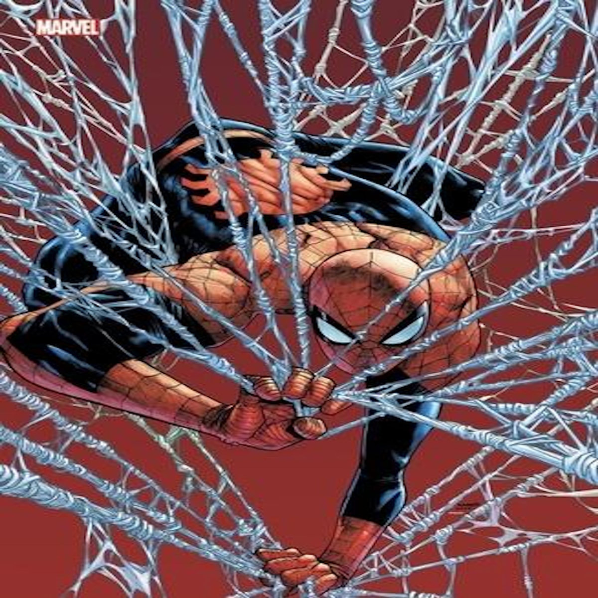 MARVEL COMICS TOME 16 . EDITION LIMITEE, Wells Zeb