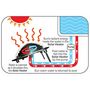 Voir la diapositive 3 : Kokido Chauffage solaire pour piscine hors sol - k835cbx