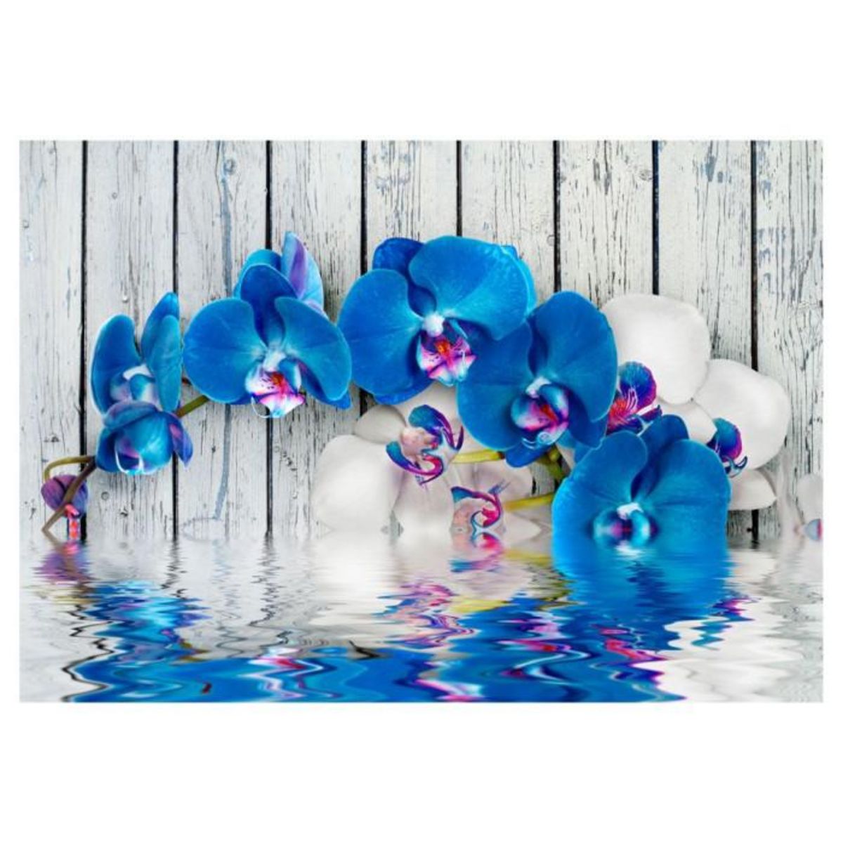 Paris Prix Papier Peint  Cobaltic Orchid