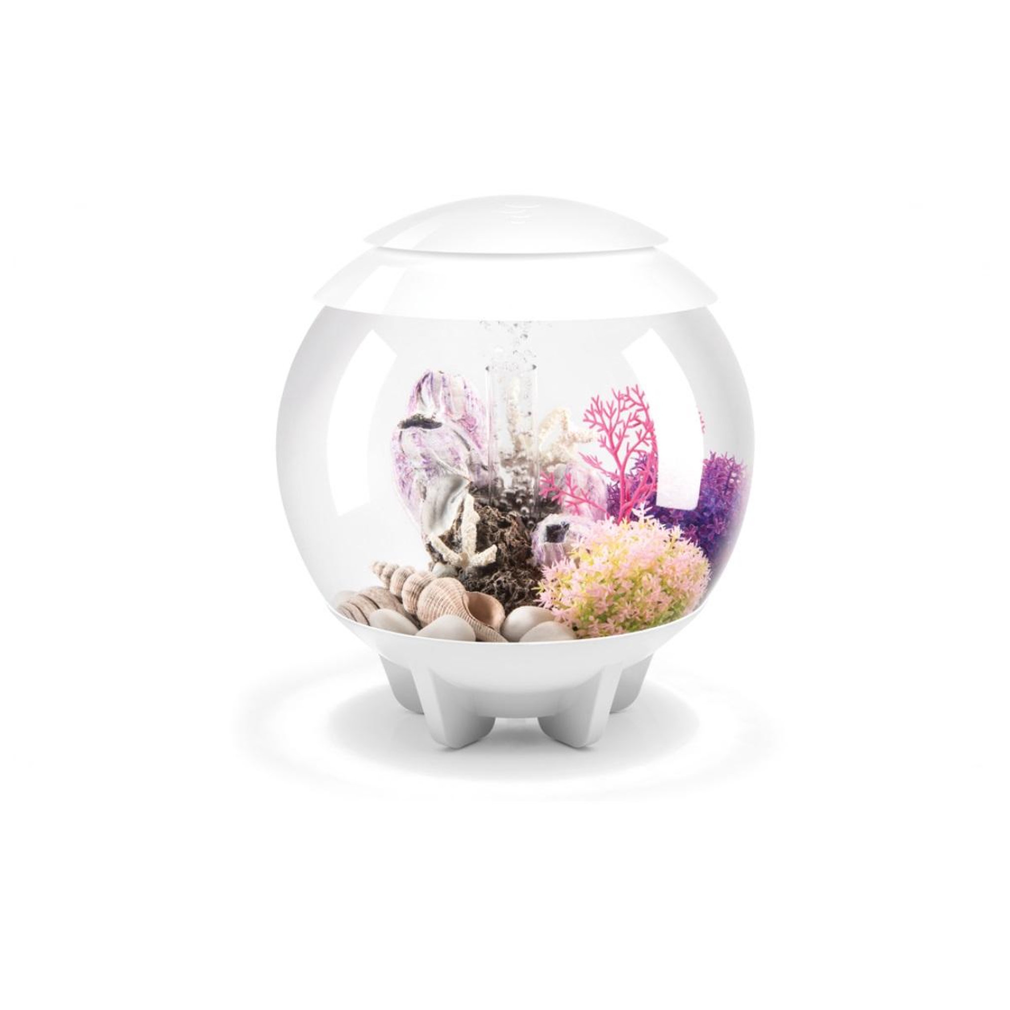 Oase Aquarium décoratif 15l blanc - halo 15 mcr white