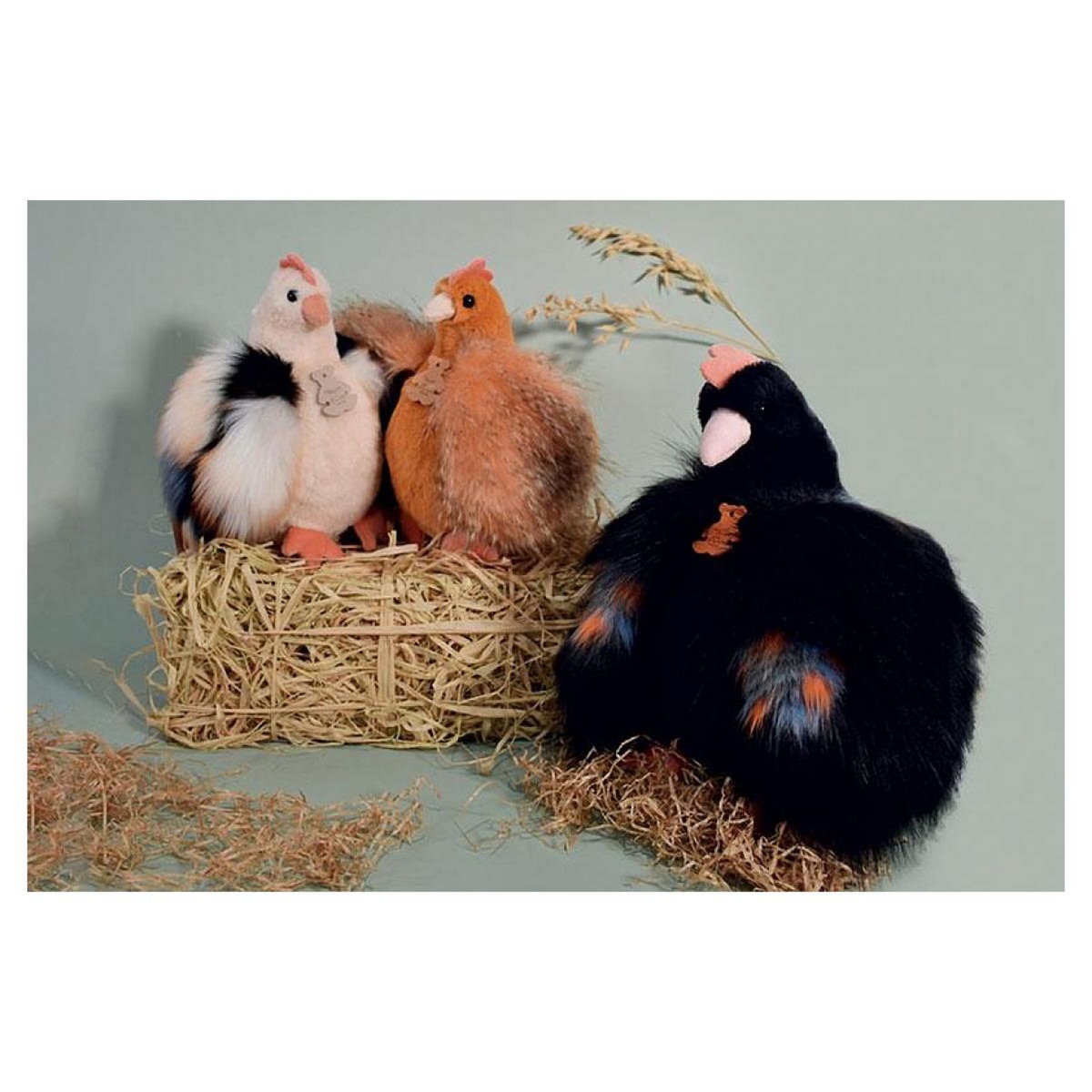 Histoire D'Ours HO3161 poulettes petit modele orange