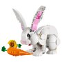 LEGO Creator 31133 Le lapin blanc, Jouet avec Animaux, dont Figurines de Poisson, Phoque et Perroquet
