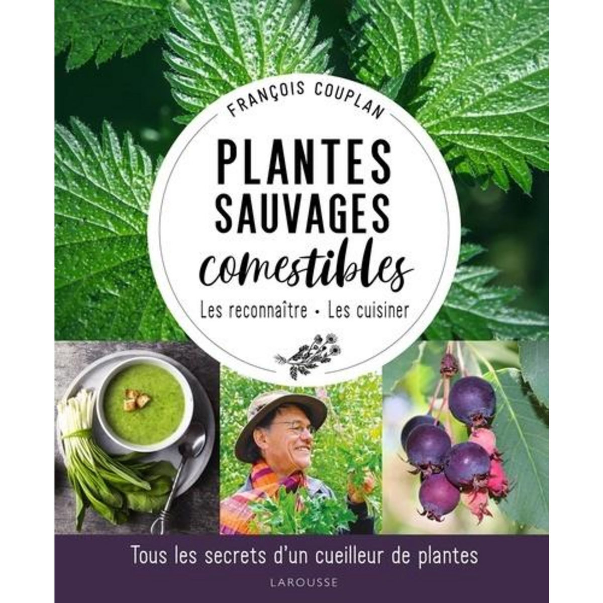 PLANTES SAUVAGES COMESTIBLES. LES RECONNAITRE, LES CUISINER, Couplan François