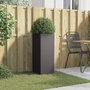 Voir la diapositive 3 : VIDAXL Jardinière noir 32x29x75 cm acier