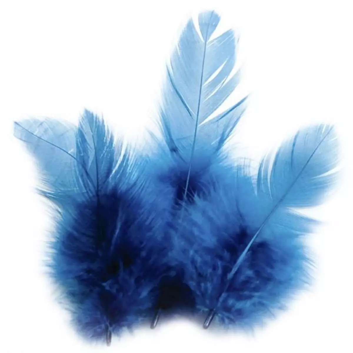 Graine créative Plumes de coq 10 cm - bleu turquoise