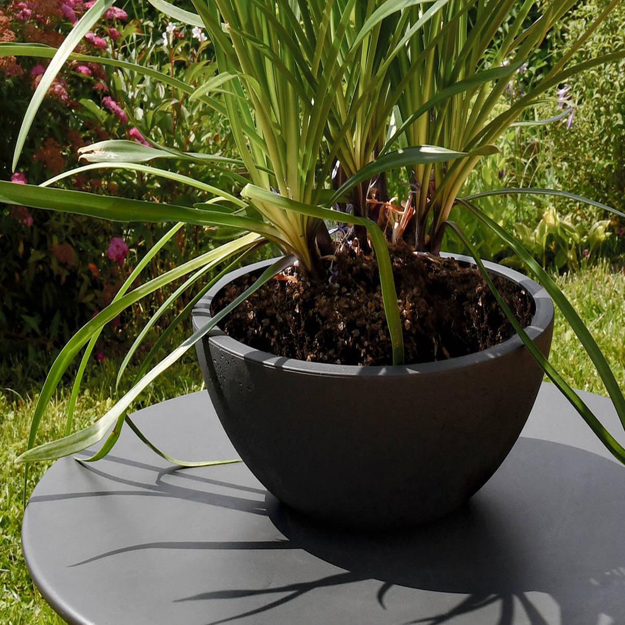 Voir la diapositive 2 : Eda Pot de fleurs vasque basalt up ø 29 x 12 cm - 5,5 l - gris anthracite - eda