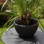 Voir la diapositive 2 : Eda Pot de fleurs vasque Basalt Up Ø 29 x 12 cm - 5,5 L - Gris anthracite - Eda