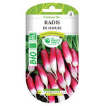 LES DOIGTS VERTS Graines de radis de 18 jours BIO Les Doigts Verts