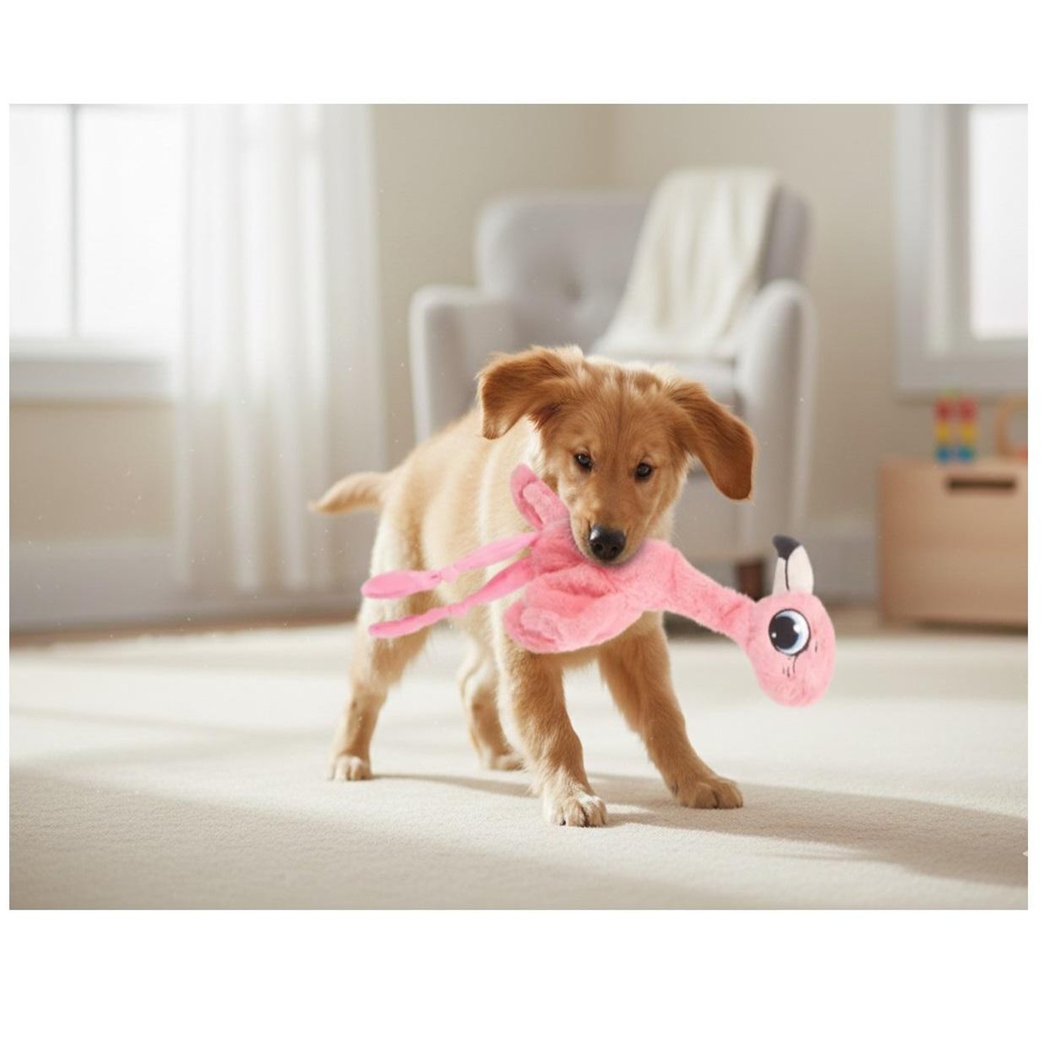 Voir la diapositive 5 : Eden Peluche flamant rose grand yeux pour chien