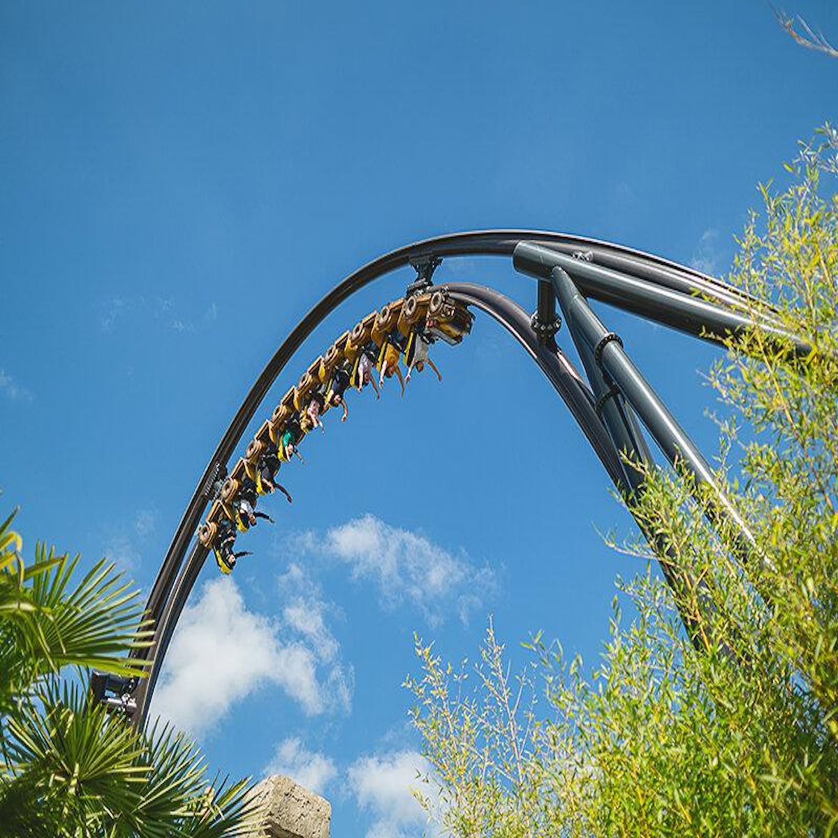 Smartbox Journée amusante : 2 entrées Grand Visiteur et 1 entrée enfant pour le parc Walibi Rhône-Alpes - Coffret Cadeau Multi-thèmes
