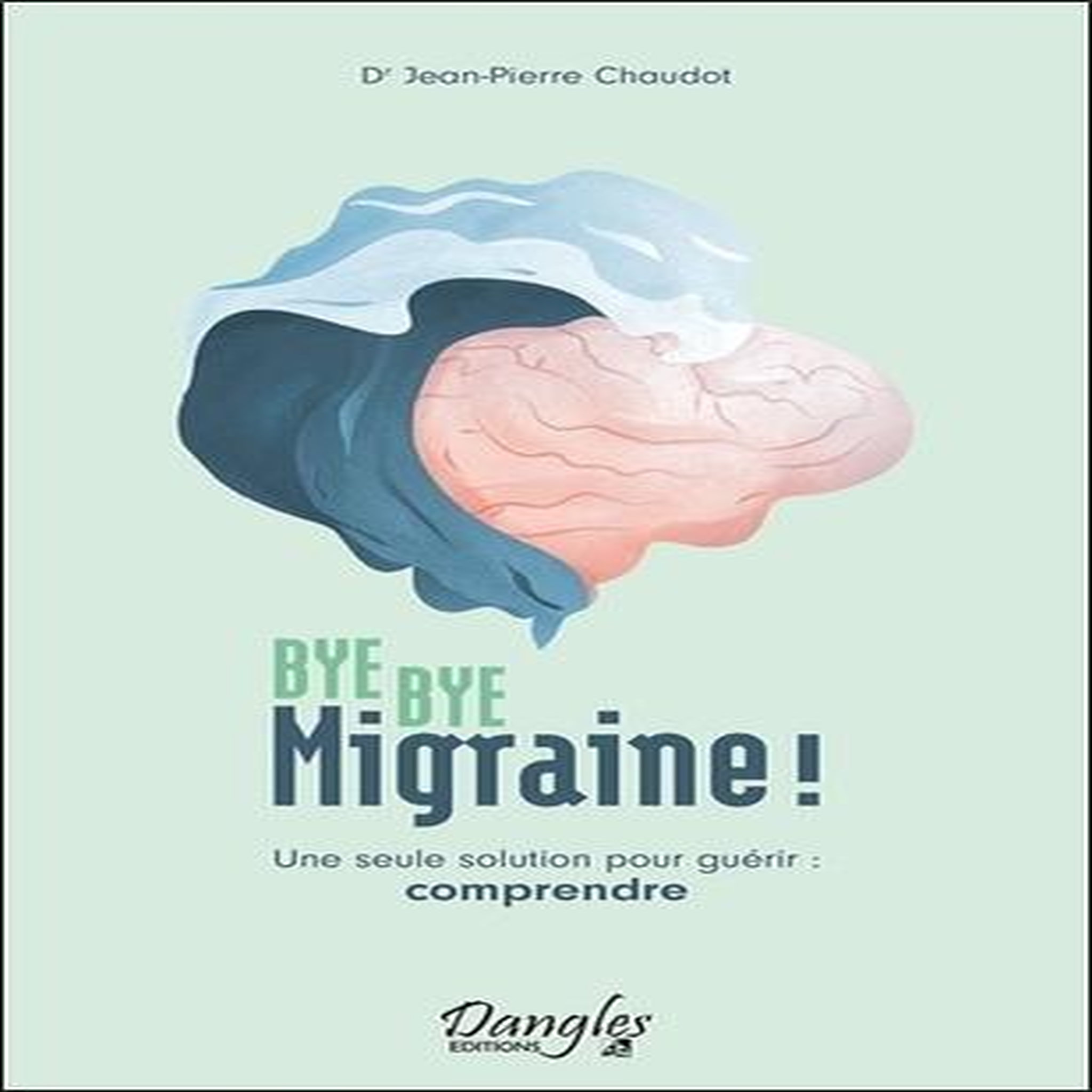 BYE BYE MIGRAINE ! UNE SEULE SOLUTION POUR GUERIR : COMPRENDRE, Chaudot Jean-Pierre