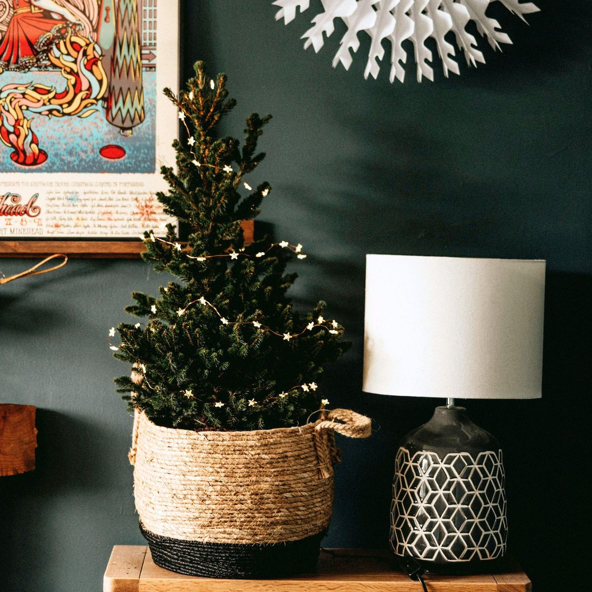 PLANT IN A BOX Épinette blanche - Picea glauca conica 'December' - Hauteur 55cm - ⌀21cm