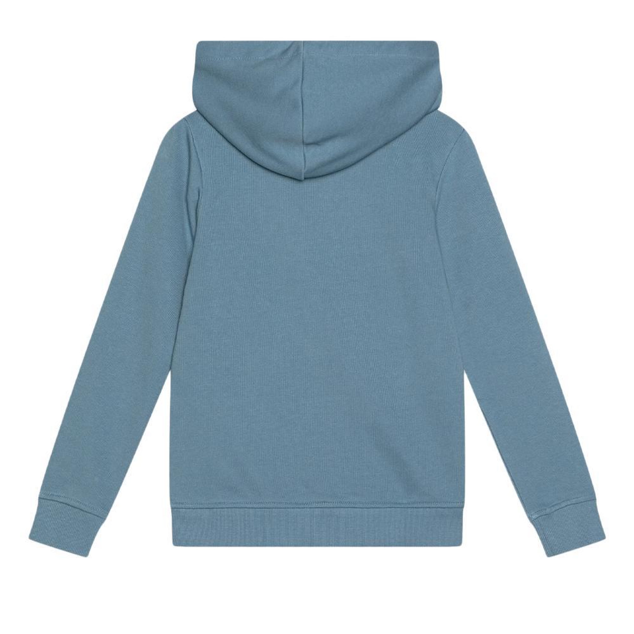 Voir la diapositive 2 : Jack & Jones Sweat Bleu Garçon Jack & Jones Forest